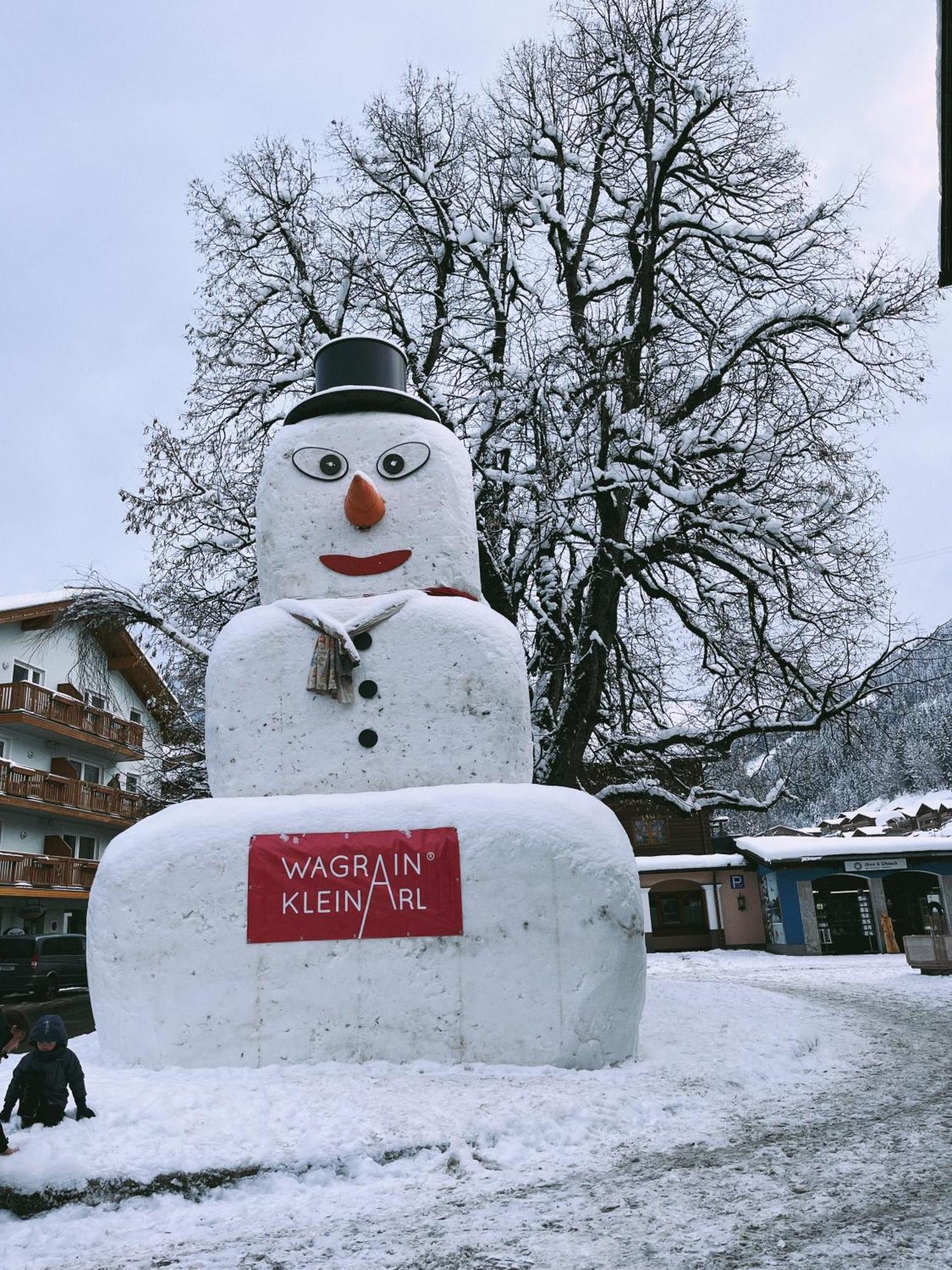 Haus Obauer By Alpentravel Daire Wagrain Dış mekan fotoğraf